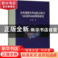 正版 企业战略类型及模式组合与绩效的动态映射研究 雷辉著 科学