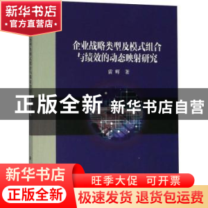 正版 企业战略类型及模式组合与绩效的动态映射研究 雷辉著 科学