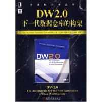 正版新书]DW2.0下一代数据仓库的构架(美)英蒙 等97871112882
