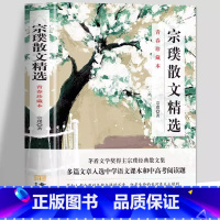[正版] 宗璞散文精选小说选 矛盾文学奖作品紫藤萝瀑布丁香结现当代文学随笔集 青少年名家散文集精选文学书初中高中生课