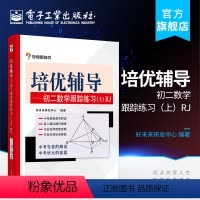 [正版] 培优辅导 初二数学跟踪练习上 RJ(双色) 好未来研发中心 初二数学辅导资料 八年级数学奥数题 电子工业出版