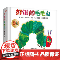 好饿的毛毛虫 立体洞洞书 3-6岁幼婴儿童早教启蒙认知童书宝宝故事书 立体洞洞书游戏翻翻纸板书 信谊精选 外国故事书幼儿