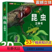 [正版]神奇的动物立体书 揭秘昆虫 揭秘系列儿童翻翻书早教绘本3-6-10岁昆虫生物趣味科普百科幼儿益智启蒙图画书课外