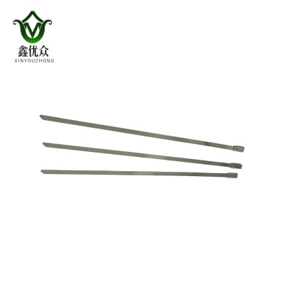 鑫优众 不锈钢扎带 4.6*200mm 根
