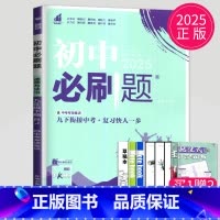 道德与法治 九年级下 人教版 [正版]2024新版初中必刷题九年级上册下册数学英语化学物理九下人教版苏科版苏教版沪教江苏