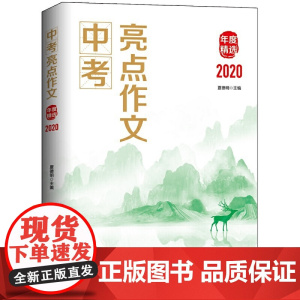 中考亮点作文年度精选