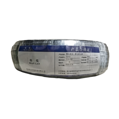 绵缆 铜芯聚氯乙烯绝缘电缆 YJV22-0.6/1kV-5*25 米