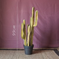 美帮汇仿真大型仙人掌盆景仙人柱墨西哥天轮柱装饰摆件落地 Myrtilloctus沙瓜洛仙掌