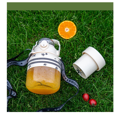 思嘉思达轻奢榨汁机 SKD -Z0173