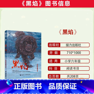 黑 焰 [正版]2023潍坊市暑期青少年读书行动六年级全套蓝鲸凯利历险记黑焰阿莲背影六年级暑期课外阅读书籍