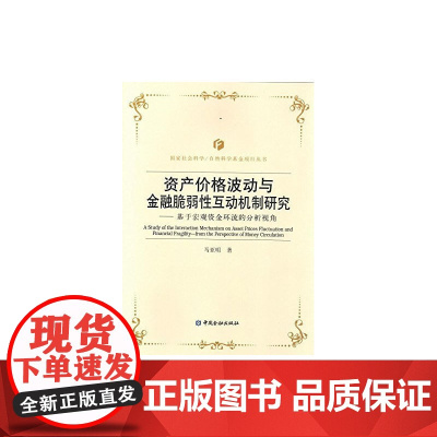 资产价格波动与金融脆弱性互动机制研究---基于宏观资金环流的分析视角 马亚明 中国金融出版社 正版书籍