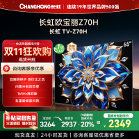 长虹欧宝丽65Z70H 内置分舱回音壁电视 双驱16晶MiniLED 云帆AI影像4K超高清平板液晶电视政府补贴