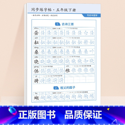 [五年级下]同步练字帖36张 [正版]二年级下册语文同步练字帖2024小学生字雷射控笔训练一三四五六年级人教版课堂一二类