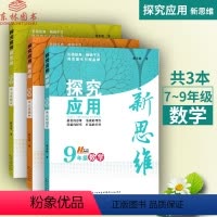 [正版]YH探究应用新思维数学789年级七八九年级全套3本 新版初中数学原理全套三本初中奥数奥赛书教辅导书十年典藏版黄