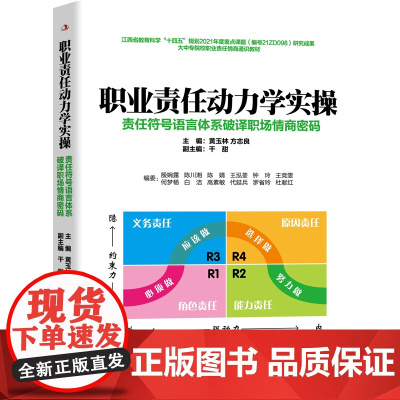 职业责任动力学实操展开