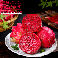 [熊猫鸟]新鲜红心火龙果 净重3斤装 特大果 2-4个 箱装 热带水果 当季新鲜水果