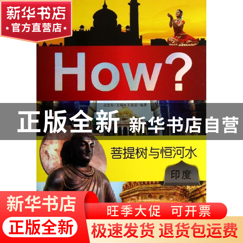 正版 菩提树与恒河水:印度 高宏存主编 新世界出版社 97875104459