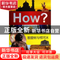 正版 菩提树与恒河水:印度 高宏存主编 新世界出版社 97875104459