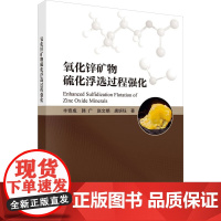 [新华]氧化锌矿物硫化浮选过程强化 丰奇成 等 正版书籍 店 科学出版社