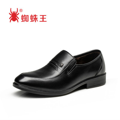 蜘蛛王冬价格 蜘蛛王冬最新报价 蜘蛛王冬多少钱 苏宁易购