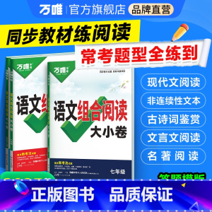 语文组合阅读大小卷 八年级 [正版]新书2025万唯初中语文组合阅读大小卷初一初二初三789年级阅读理解专项组合训练测试
