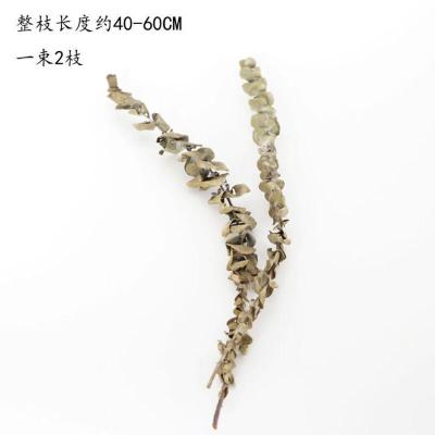 敬平ins风干花花束家居摆设小清新客厅插花网红装饰品满天星永生花尤加利叶