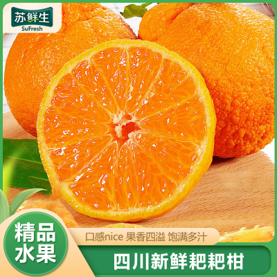[苏鲜生]四川耙耙柑 净重5斤 单果75mm+ 产地精选 甜美多汁 坏果包赔