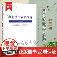 D正版 湖北法治发展报告 2019 中共湖北省委全面依法治省委员会 法律出版社