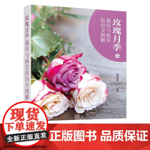 玫瑰月季栽培与病害防治全图解