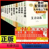 [人教版 12册]九年级上下册名著 [正版]傅雷家书原著无删减完整版初中生人教版课外书读物人民教育出版社初二阅读书籍三联