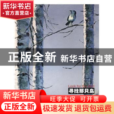正版 寻找那只鸟:天民集:tianmin's work 郭天民著 湖南美术出版