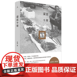 梁庄十年 梁鸿 理想国 上海三联书店 正版书籍