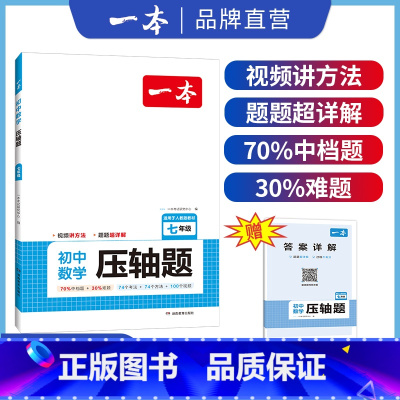 压轴题 七年级/初中一年级 [正版]七年级数学压轴题2024初中数学有理数方程初一数学必刷题上下册通用数学专题训练解题方