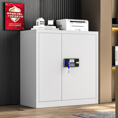 诚睿易邦保密柜密码柜保密文件柜密码锁办公柜矮柜钥匙锁带抽