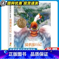 骑鹅旅行记 [正版]3本21元去年的树 国际大奖儿童文学美绘典藏版 7-9-10-12岁儿童读物三四五六年级课外书阅读小
