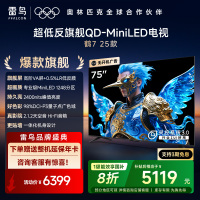 雷鸟 鹤7 25款75英寸 0.5%LR低反膜QD-MiniLED HVA屏 一级能效家电国家补贴75R695C