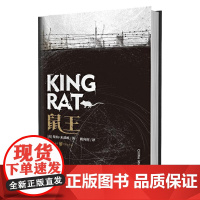 精装 鼠王 柴纳米耶维著 姚向辉译 言情爱情小说男女生系列甜宠青春校园文学作品书籍 浓重朋克金属节拍的民间传说奇幻小说