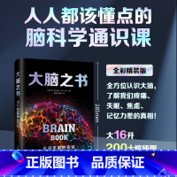 [正版]书店大脑之书 系统解读大脑工作原理 脑科学通识课 了解脑子 3磅宇宙的奇迹 神经脑科学书籍