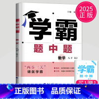 数学 八年级下 人教版 八年级/初中二年级 [正版]2024学霸题中题数学英语物理化学七年级上册八年级下册九年级上苏科版