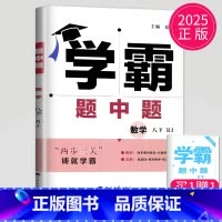 数学 八年级下 人教版 八年级/初中二年级 [正版]2024学霸题中题数学英语物理化学七年级上册八年级下册九年级上苏科版