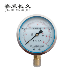 嘉禾长久 耐震压力表检测型 YTN100 块