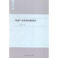 音像电视产业多屏战略研究连少英著