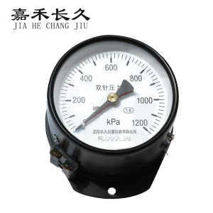 嘉禾长久/轴向双针压力表/YYS-JY-100Z 24V带灯/个