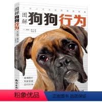 [正版]图解狗狗行为:100种姿势-表情-声音的解读 养狗书籍 狗狗养育训练全书犬书训练狗狗的教程书训练狗狗一本就够了