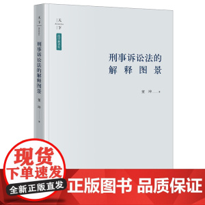 正版 刑事诉讼法的解释图景 董坤 著 法律出版社
