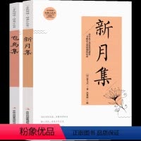 新月集 飞鸟集 [正版]新月集飞鸟集泰戈尔著双语典藏版珍藏版全集文学诗集诗选人民小学生三四五年级课外书中英原版精装版老师