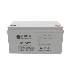 圣阳电源 蓄电池 SP12-65T 只