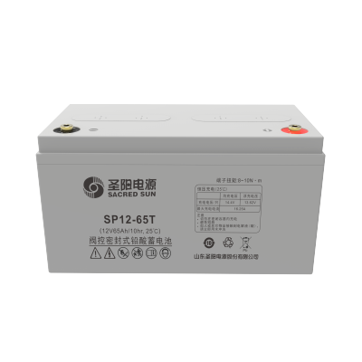 圣阳电源 蓄电池 SP12-65T 只