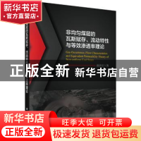 正版 非均匀煤层的瓦斯赋存、流动特性与等效渗透率理论 赵洪宝