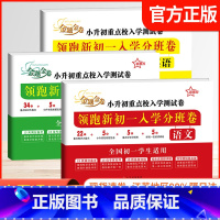 语数英-三册 小学升初中 [正版]备考2025小升初重点校入学测试卷暑假小升初分班领跑新初一必刷卷语文数学英语小学六年级